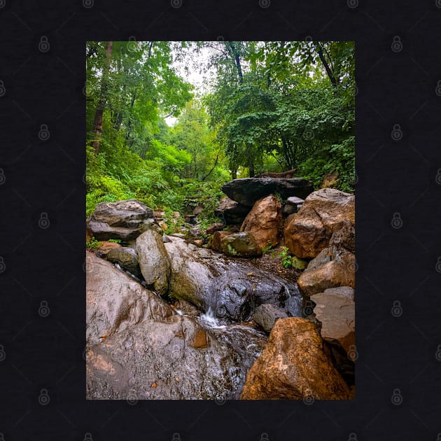 Central Park Stream Rocks Nature Manhattan New York City by eleonoraingrid